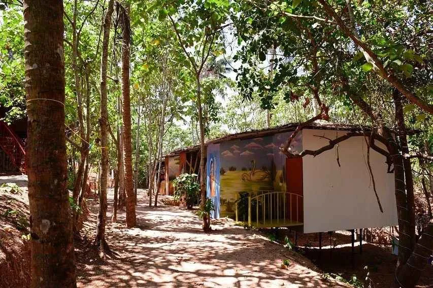 Palm Paradise Resort in Kerala - Comfortable Stay