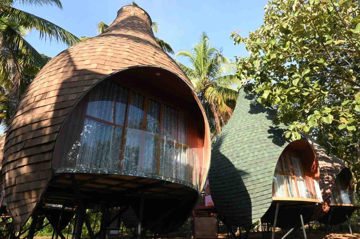Swimming Pool at Tattvaa Yogashala in Kerala