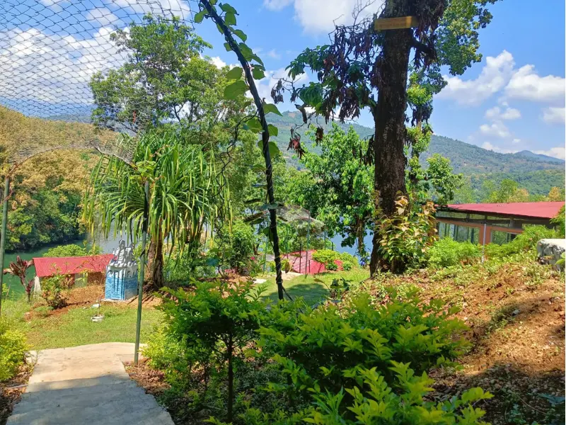 Palm Paradise Resort in Nepal - Comfortable Stay