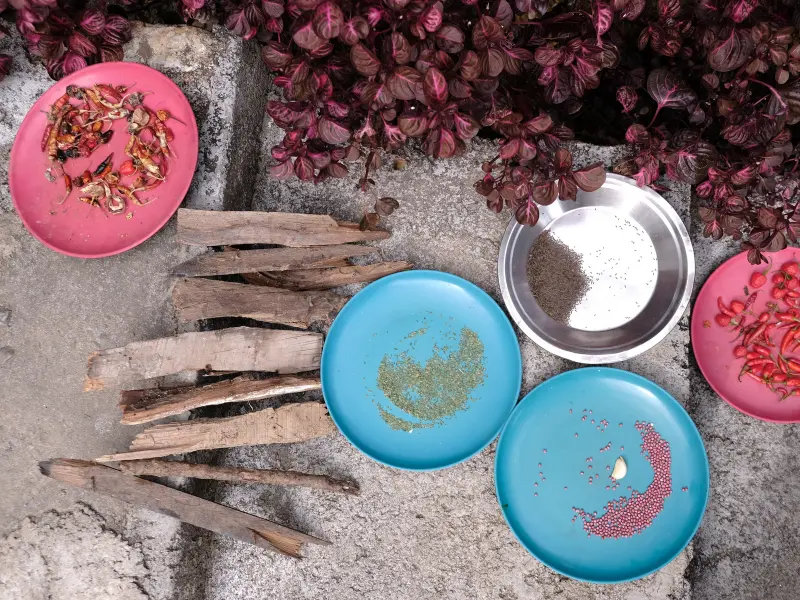 Delicious organic meals for yoga students at Tattvaa Yogashala, Nepal